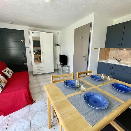 Apartment 2 Pieces 4 Couchages St Cyprien Sc510-172i *